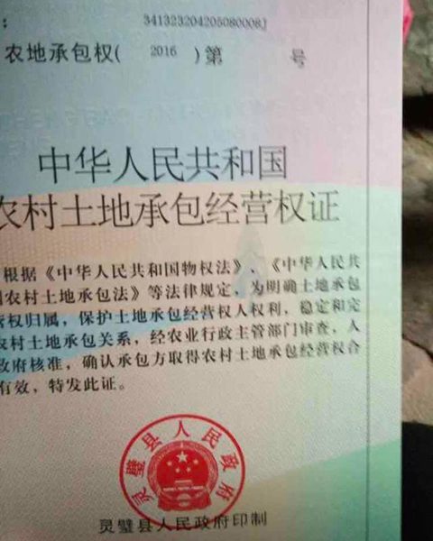 安徽灵璧：耕种18年有承包权证的土地被确权给他人，谁在滥用自己的权利？