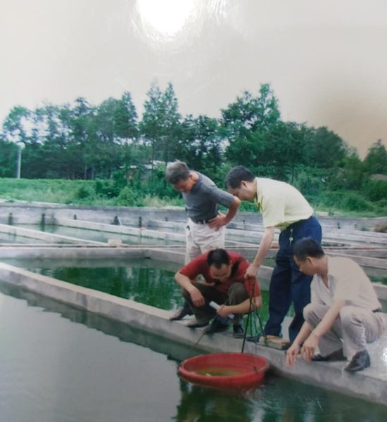 四川新都：民营渔场遭村民哄抢古稀老人上告无门