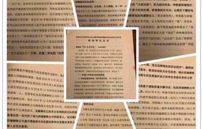 辽宁沈阳： 一优质企业被”恶意”整垮，投资商人成囚徒