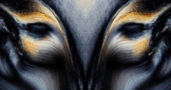c30717442593475ea028d206158e024c