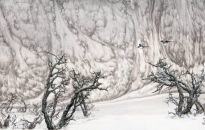 让科学的阳光普照艺术的天地“艺术＋科学——尹毅绘画科研作品展”在京举办