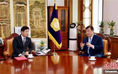 中国驻韩国大使邢海明会见韩国国会议长金振杓
