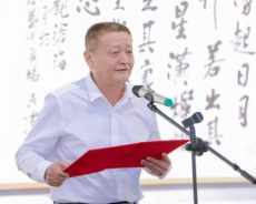 观沧海-吴雪书法生活艺术展在京圆满举办
