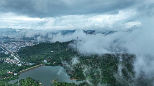 10332IL5-0 10332IL5-0