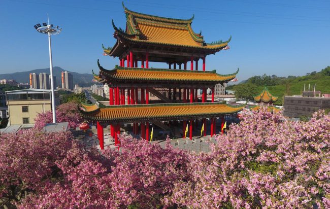 105532E64-2 105532E64-2