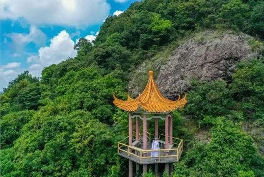 15124T3F-2 15124T3F-2