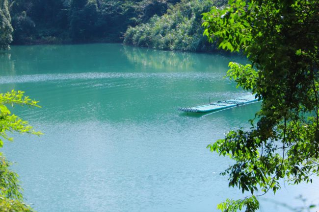 1524304024-0 1524304024-0