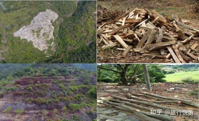 v2-cb96c4481eabba0b449439d7c88ccd88_1440w