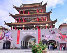 撤销还是保留？广东观音山国家森林公园“国家级”资质被撤销引发关