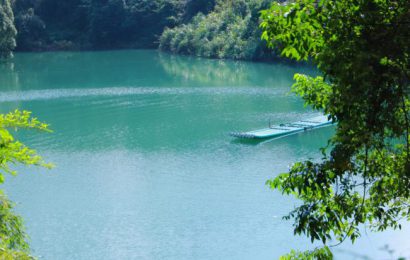 历史遗留问题久拖不决，全国首家民营国家森林公园面临“灭顶之灾”