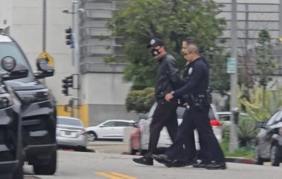 涉袭击抗议者 洛城中领馆雇用的保安被逮捕