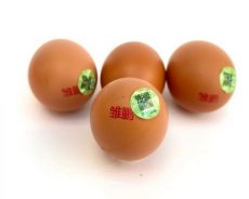 一枚“无抗蛋”的初心与担当