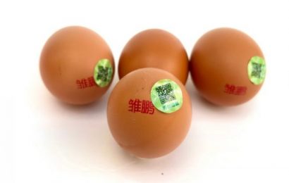 一枚“无抗蛋”的初心与担当