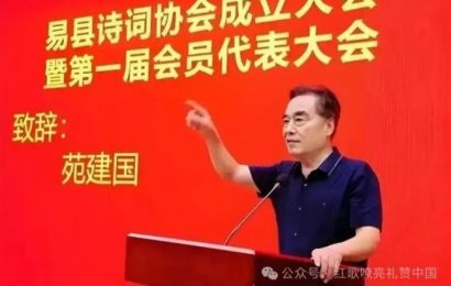 文化先锋执笔从戎拥军传承：记中国文化艺术发展促进会榜书艺术研究会主席苑建国