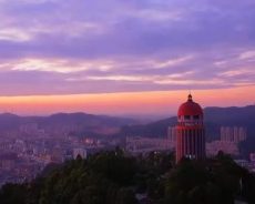 绿肺之殇：观音山毁林背后的多方博弈与治理困局