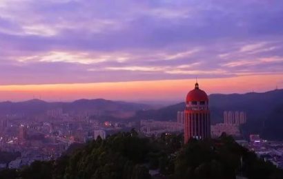 绿肺之殇：观音山毁林背后的多方博弈与治理困局